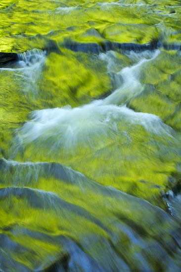 Abstract;Abstractions;Blue;Brook;Cascade;Cascading;Cataract;Chute;Cool;Creek;Falling;Falls;Fillmore Glen State Park;Flow;Flowing;Green;Moravia;New York;Patterns;Pouring;Rapids;Reflection;Reflections;Rivulet;Shapes;Spilling;Spray;Stream;Streamlet;Textures;Water;Waterfall;Waterfalls;Wet;Yellow